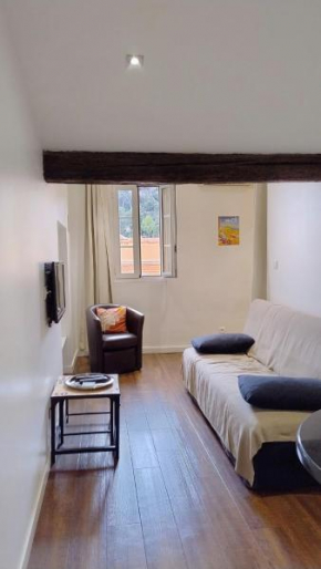 cozy apartment port of Nice